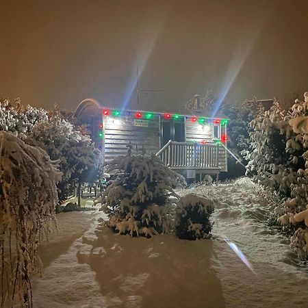The Little John Petite Cosy Log Cabin - Sleeps 2, Great For Romantic Breaks, Couples, Single Guests, Near Sherwood Forest At Fairview Farm, Nottingham Set In 88 Acres Blidworth Exterior foto